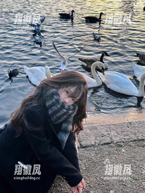免费黑料再升级，17c吃瓜的内幕值得期待，快点来刨根问底吧！
