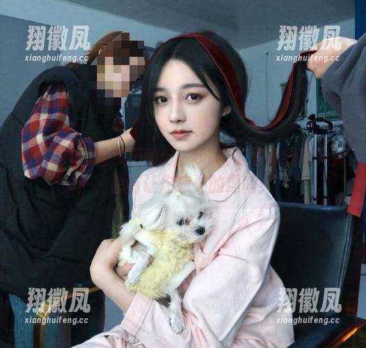 香瓜历险记：51吃瓜黑料线路更新，总有让你意外的趣闻！