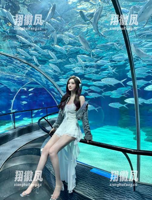 导航直达“58吃瓜”，我就想知道这次又有哪些是假的八卦？