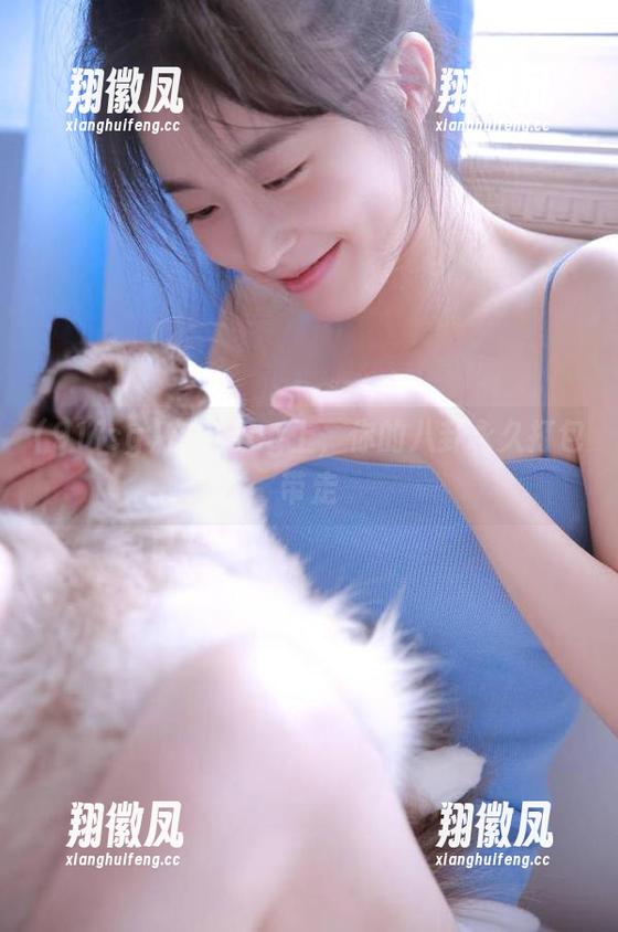 在91icg上，你的八卦永久打包带走