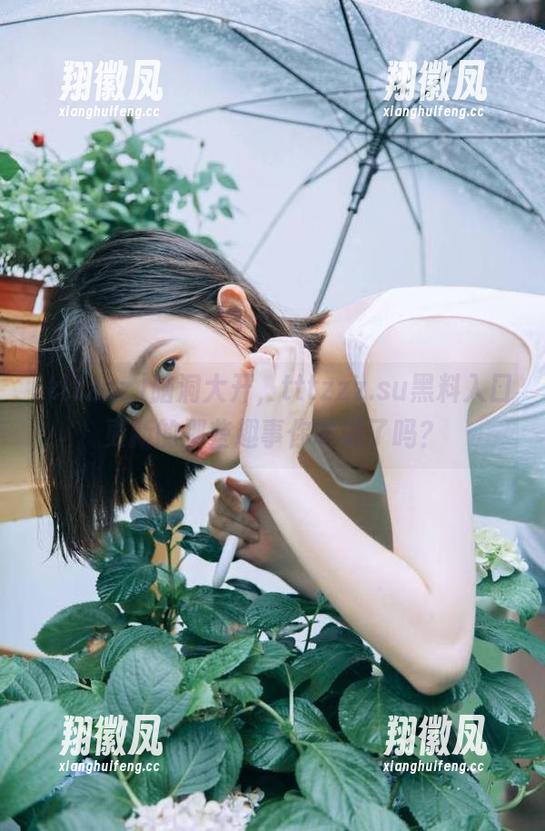 脑洞大开，tttzzz.su黑料入口更新的那些趣事你听说了吗？