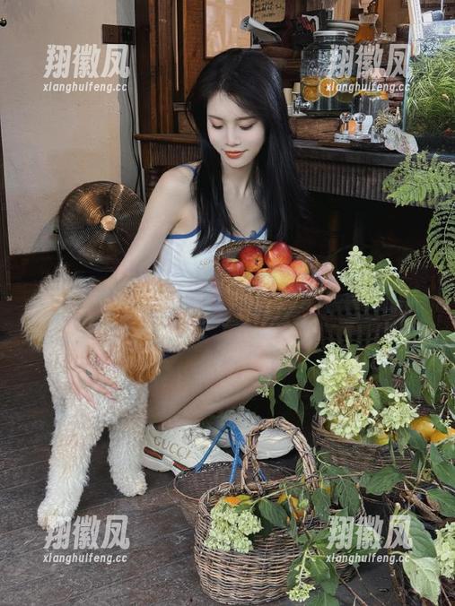 记得上次看zztt黑料时的热闹，安卓柜子里怎么都空了？