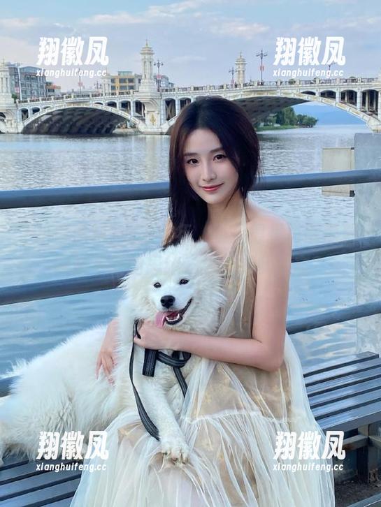 此去经年，不见得是扒哥黑料网站下载的思绪，为何如此难忘？